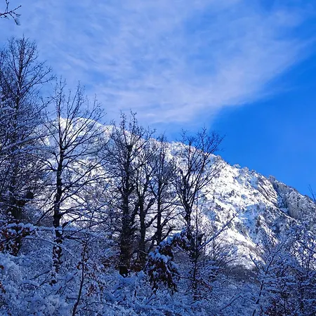 Chalé Boga Chalet