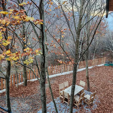 Boga Chalet Alpstuga