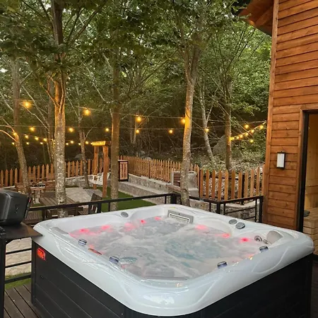 Domek alpejski Boga Chalet *